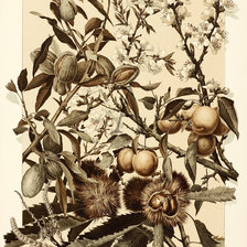 Cross stitch pattern: #555940