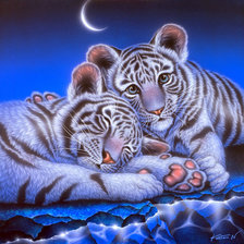 Cross stitch pattern: #555980