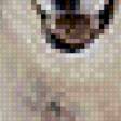 Preview of cross stitch pattern: #556061