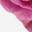 Preview of cross stitch pattern: #556199