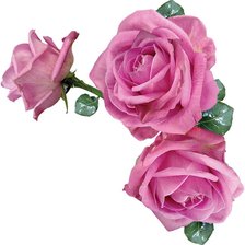 Cross stitch pattern: #556199