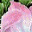 Preview of cross stitch pattern: #556210