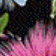 Preview of cross stitch pattern: #556212