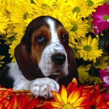 Cross stitch pattern: #556225