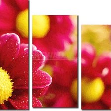 Cross stitch pattern: #556227