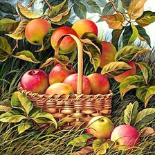 Cross stitch pattern: #556322