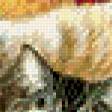 Preview of cross stitch pattern: #556370