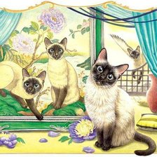 Cross stitch pattern: #556373