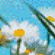 Preview of cross stitch pattern: #556411