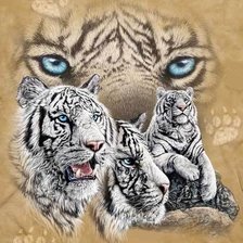 Cross stitch pattern: #556465