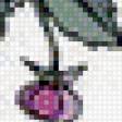 Preview of cross stitch pattern: #556513