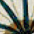 Preview of cross stitch pattern: #556543