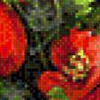 Preview of cross stitch pattern: #556545