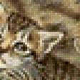 Preview of cross stitch pattern: #556614