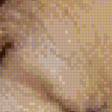 Preview of cross stitch pattern: #556626