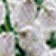 Preview of cross stitch pattern: #556774