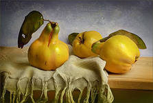 Cross stitch pattern: #556793