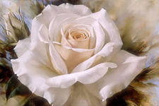 Cross stitch pattern: #556799