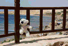 Cross stitch pattern: #556801