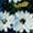 Preview of cross stitch pattern: #556806