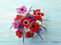 Cross stitch pattern: #556807