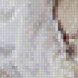 Preview of cross stitch pattern: #556829