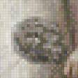 Preview of cross stitch pattern: #556856