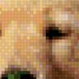 Preview of cross stitch pattern: #556882
