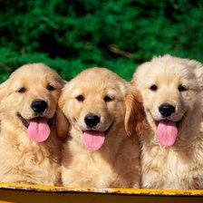 Cross stitch pattern: #556882