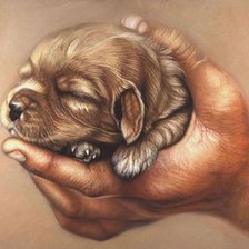 Cross stitch pattern: #556914