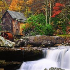 Cross stitch pattern: #556916