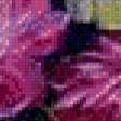 Preview of cross stitch pattern: #556971