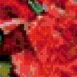 Preview of cross stitch pattern: #556972