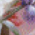 Preview of cross stitch pattern: #557026
