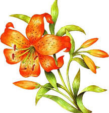 Cross stitch pattern: #557055
