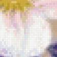 Preview of cross stitch pattern: #557060