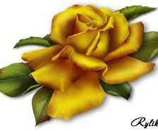 Cross stitch pattern: #557063