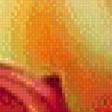 Preview of cross stitch pattern: #557064