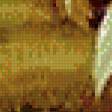 Preview of cross stitch pattern: #557066