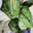 Preview of cross stitch pattern: #557068