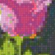 Preview of cross stitch pattern: #557071