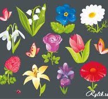 Cross stitch pattern: #557071
