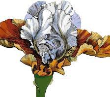 Cross stitch pattern: #557072