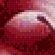 Preview of cross stitch pattern: #557073