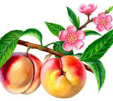 Cross stitch pattern: #557076
