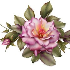 Cross stitch pattern: #557087
