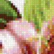 Preview of cross stitch pattern: #557105