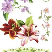 Cross stitch pattern: #557105