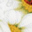 Preview of cross stitch pattern: #557106