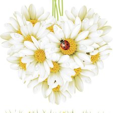Cross stitch pattern: #557106